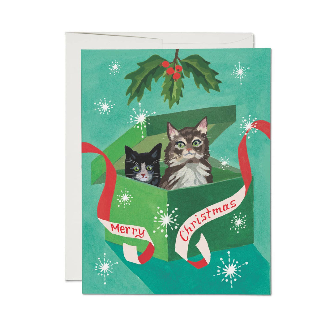 Meowy Christmas Box Set