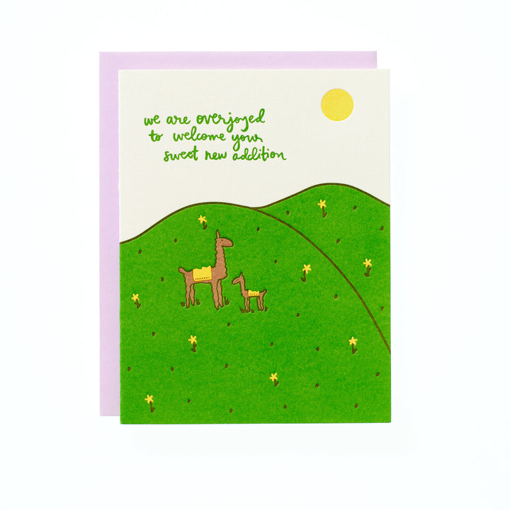 Llama Mama Field