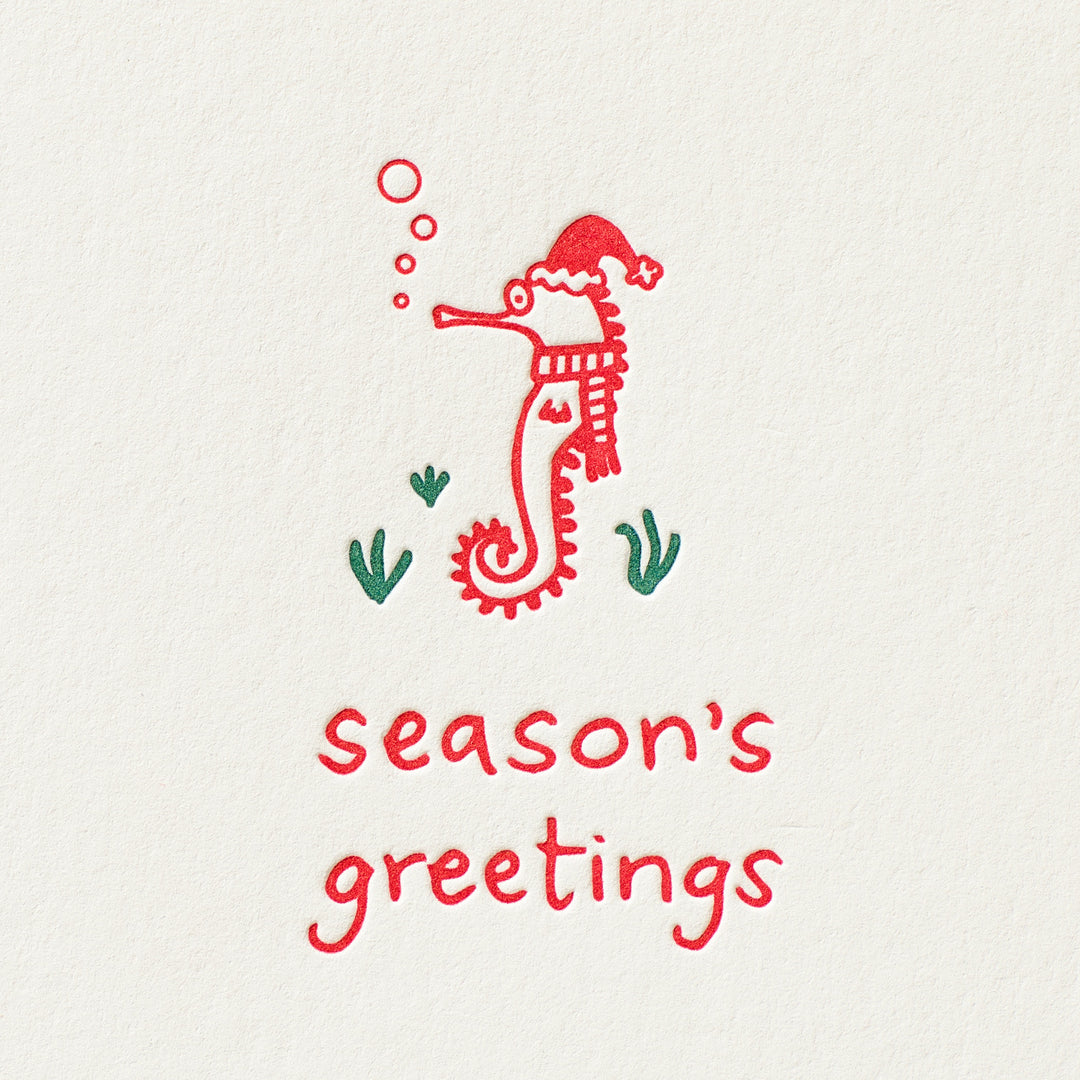 Seahorse Holiday
