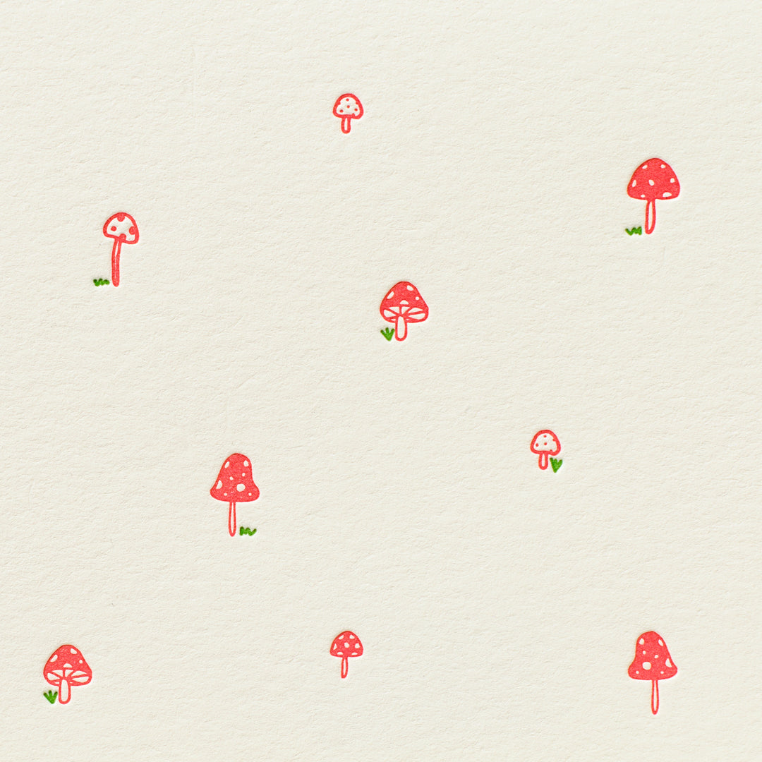 Mushroom Pattern Box Set