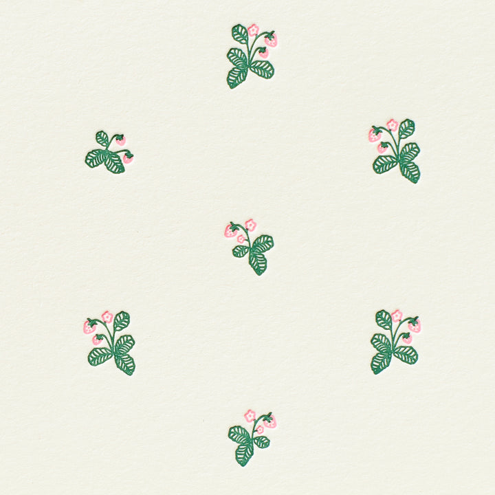 Strawberry Pattern Box Set