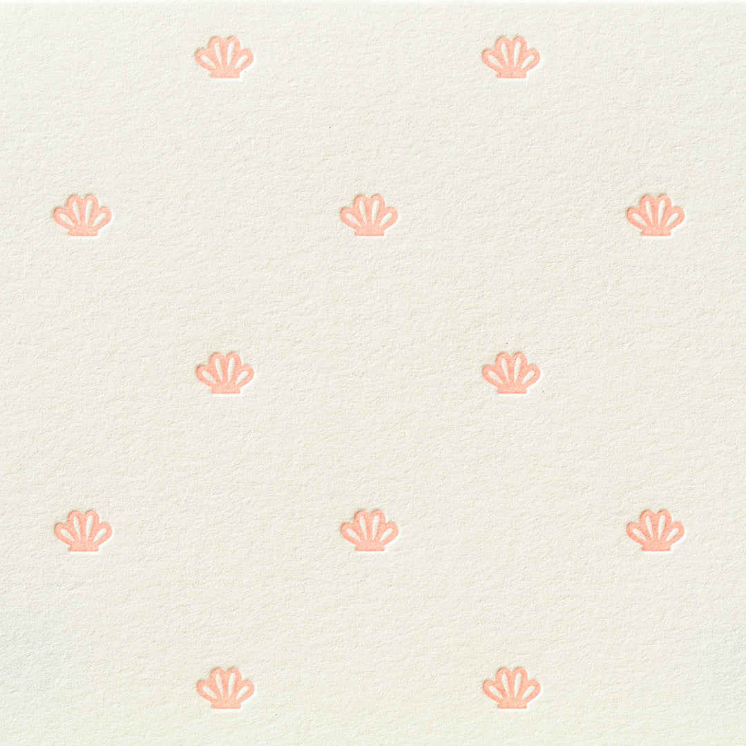 Seashell Pattern Box Set