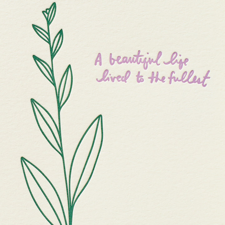 Beautiful Life Lily