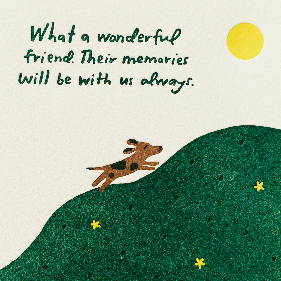 Dog Memory