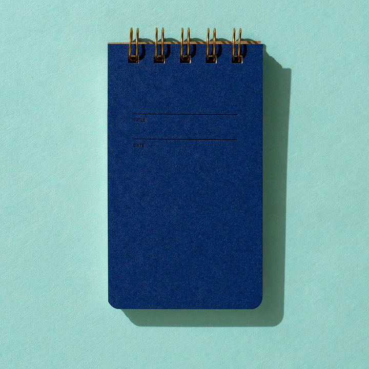 Reporter Notebook - Blueberry