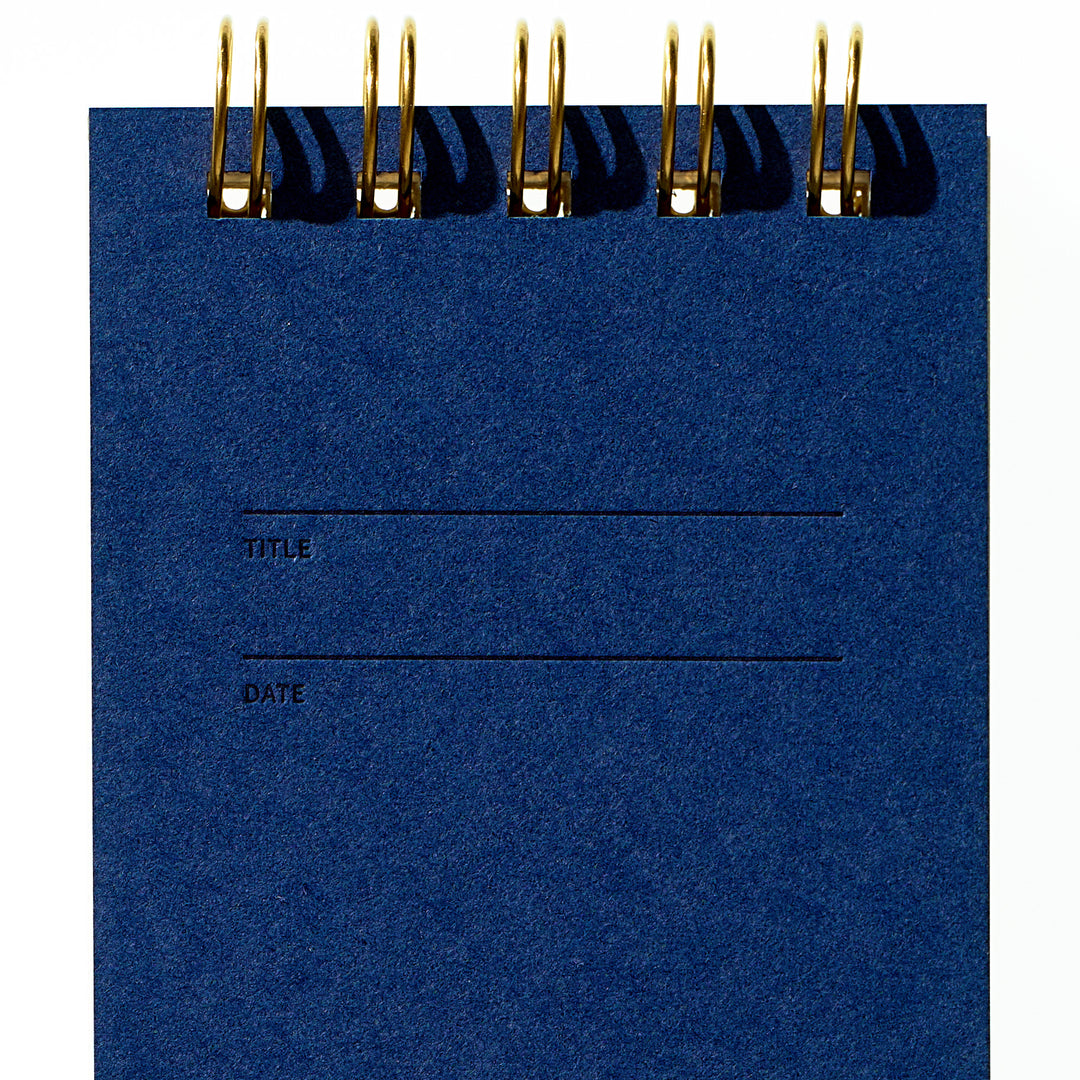 Reporter Notebook - Blueberry