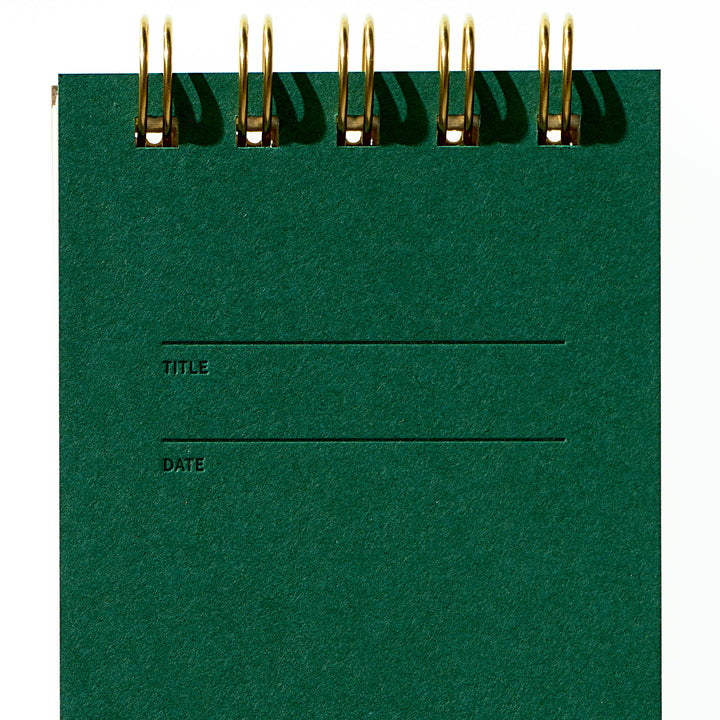Reporter Notebook - Fern