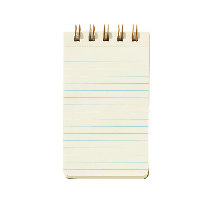 Reporter Notebook - Blue Hearts