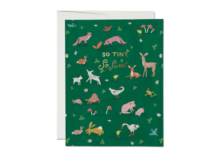 Tiny Animals
