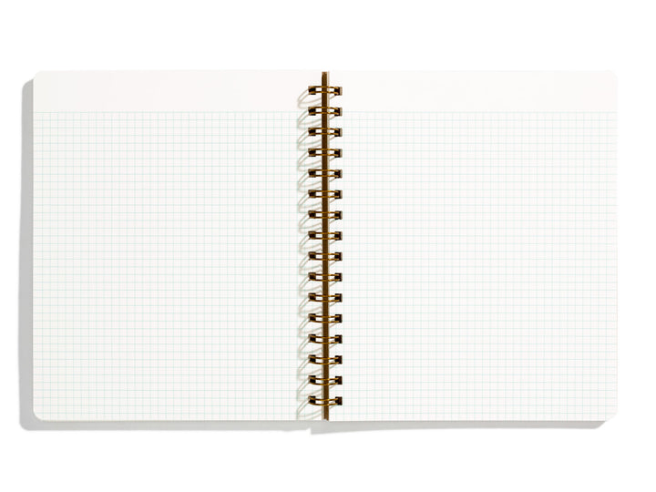 Standard Notebook - Pink Lemonade