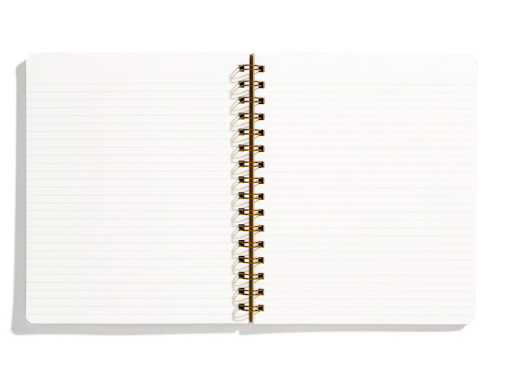 Standard Notebook - Pink Lemonade